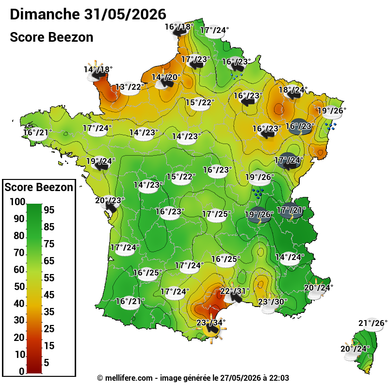 Carte des scores abeilles 31/05