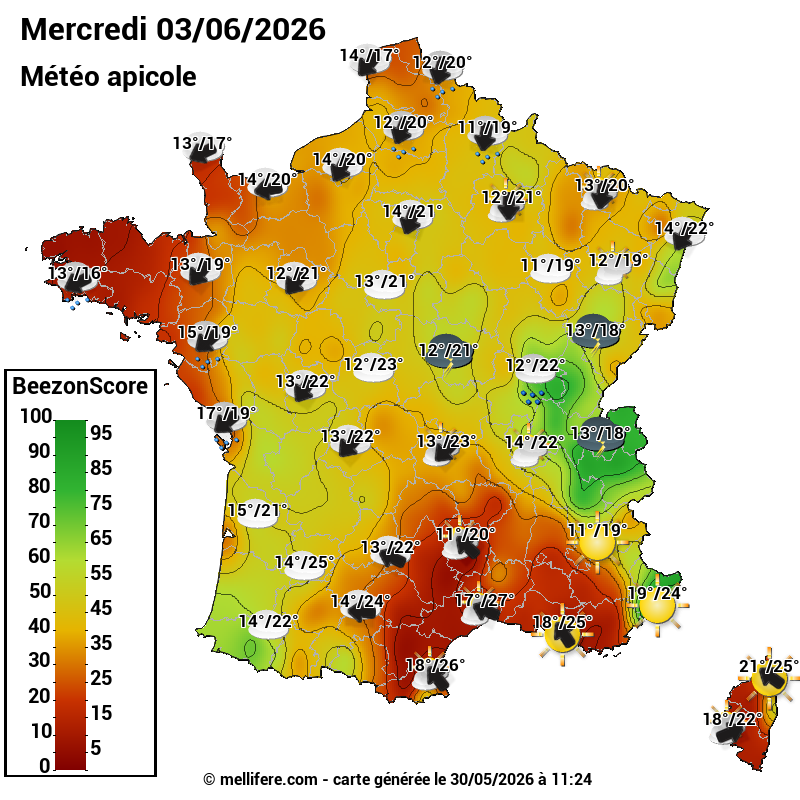 Carte des scores abeilles 03/06