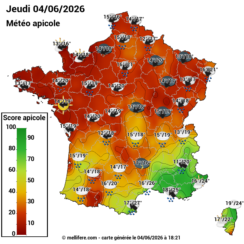 Carte des scores abeilles 04/06