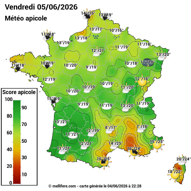 Carte des scores abeilles 05/06