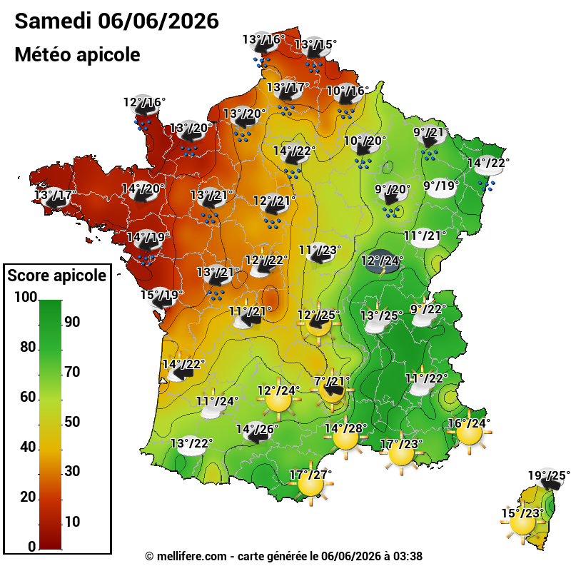 Carte des scores abeilles 06/06