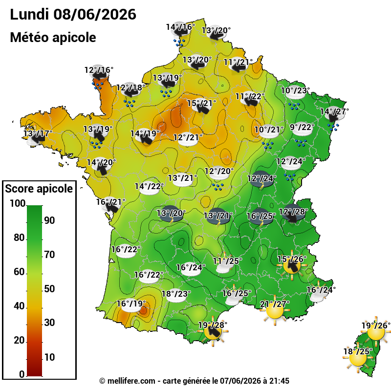 Carte des scores abeilles 08/06