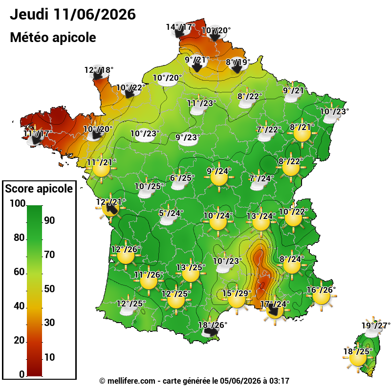 Carte des scores abeilles 11/06