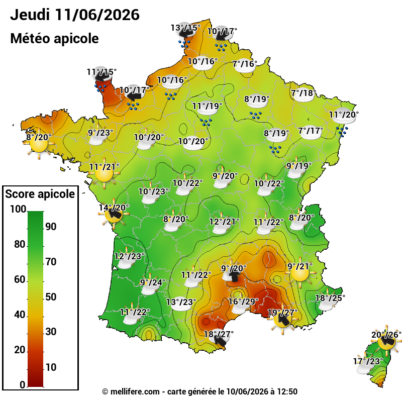 Carte des scores abeilles 11/06
