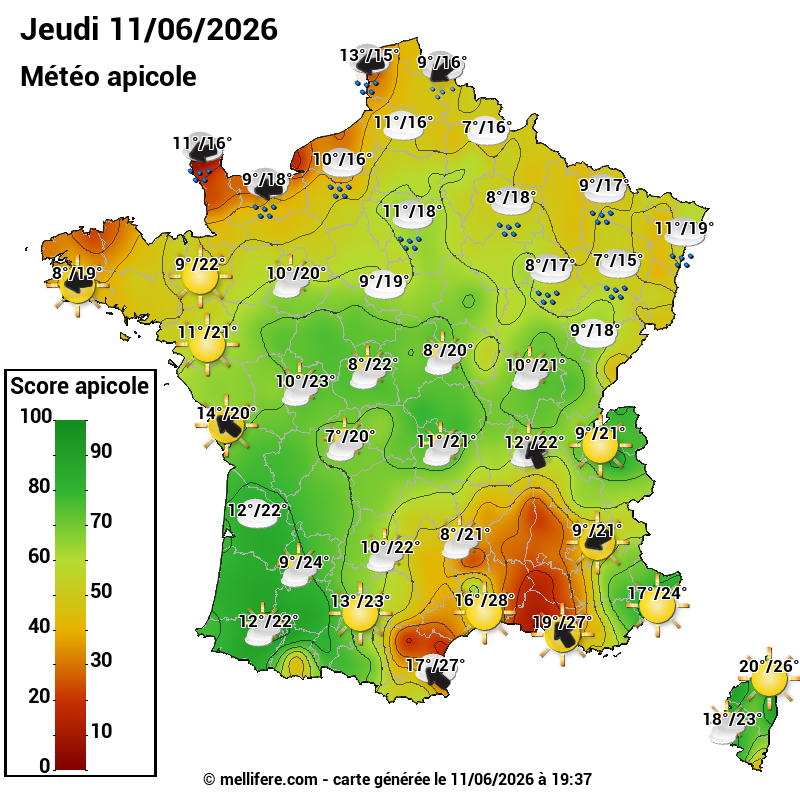 Carte des scores abeilles 11/06