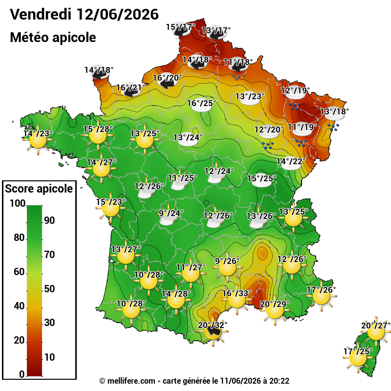 Carte des scores abeilles 12/06