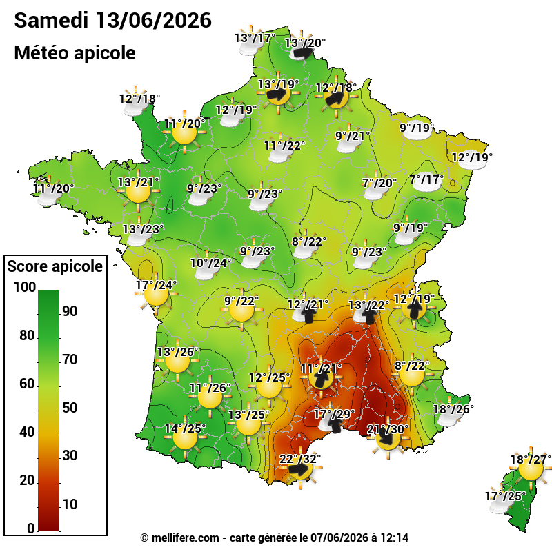 Carte des scores abeilles 13/06