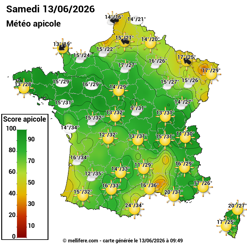 Carte des scores abeilles 13/06