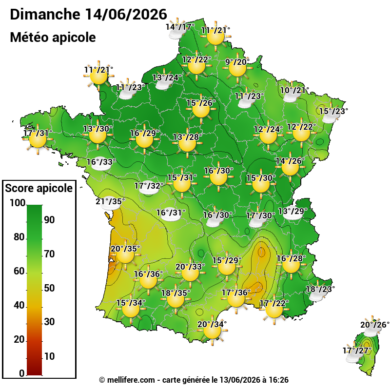 Carte des scores abeilles 14/06