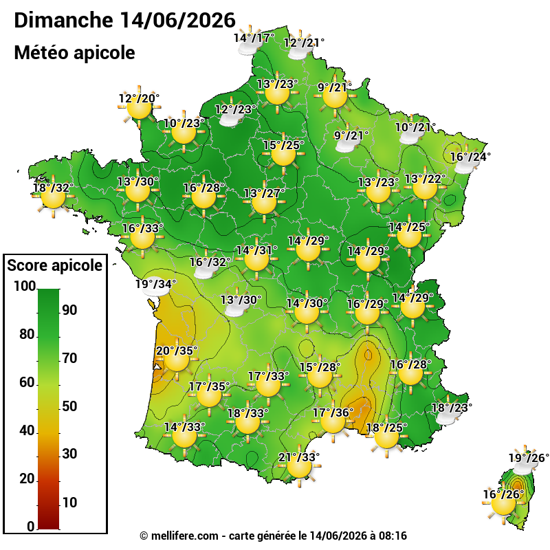 Carte des scores abeilles 14/06