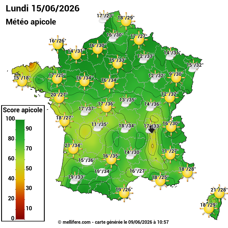 Carte des scores abeilles 15/06