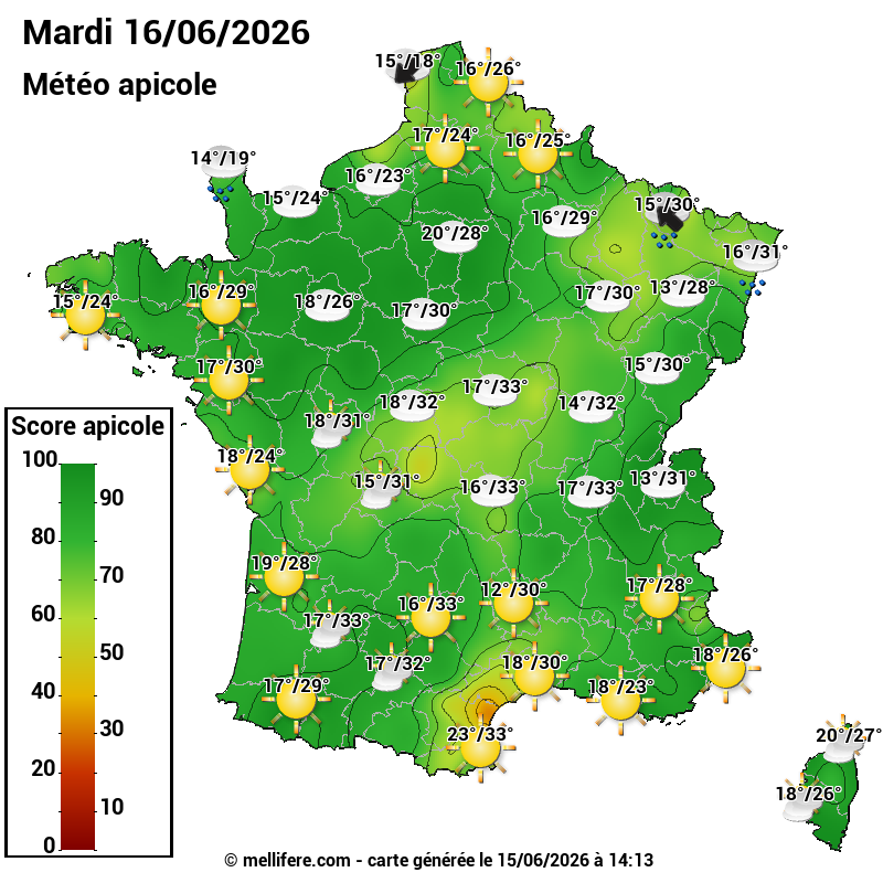 Carte des scores abeilles 16/06