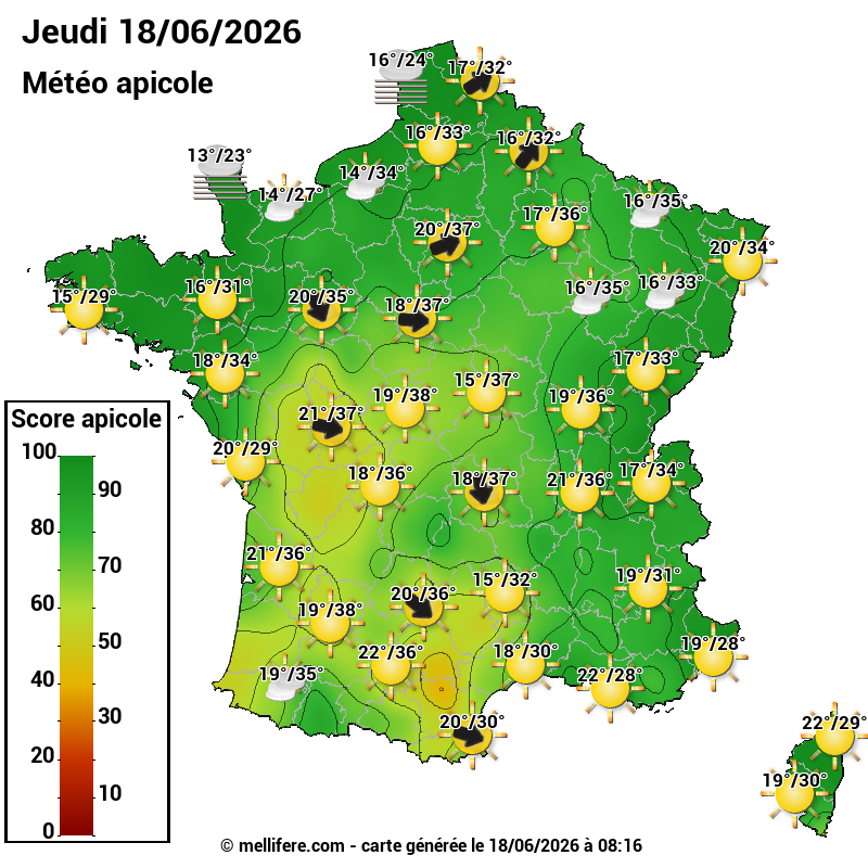 Carte des scores abeilles 18/06