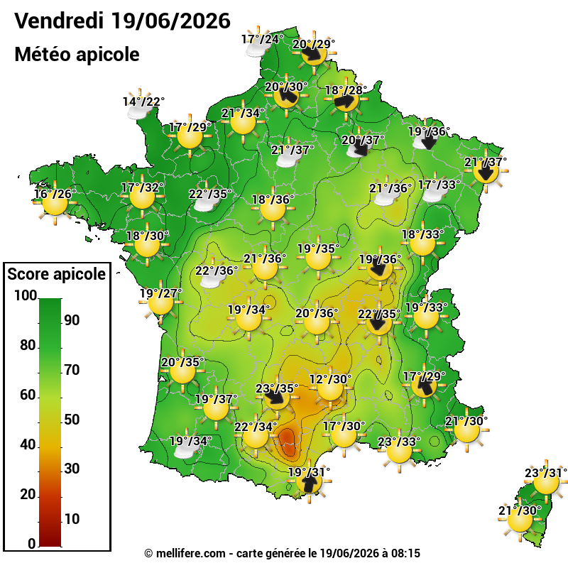 Carte des scores abeilles 19/06