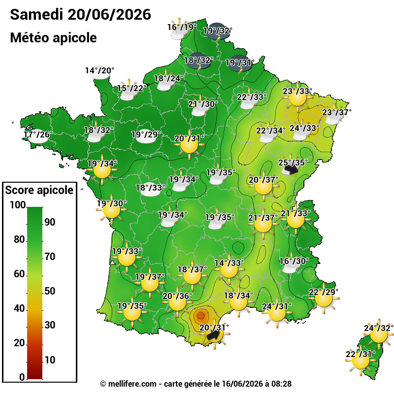 Carte des scores abeilles 20/06