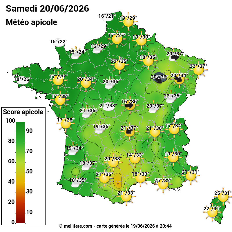Carte des scores abeilles 20/06