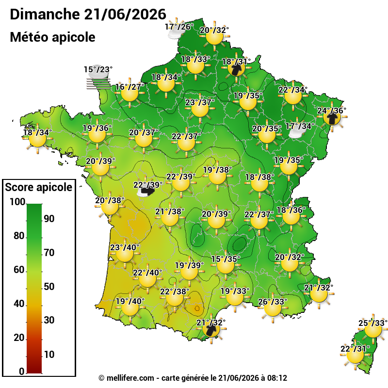 Carte des scores abeilles 21/06