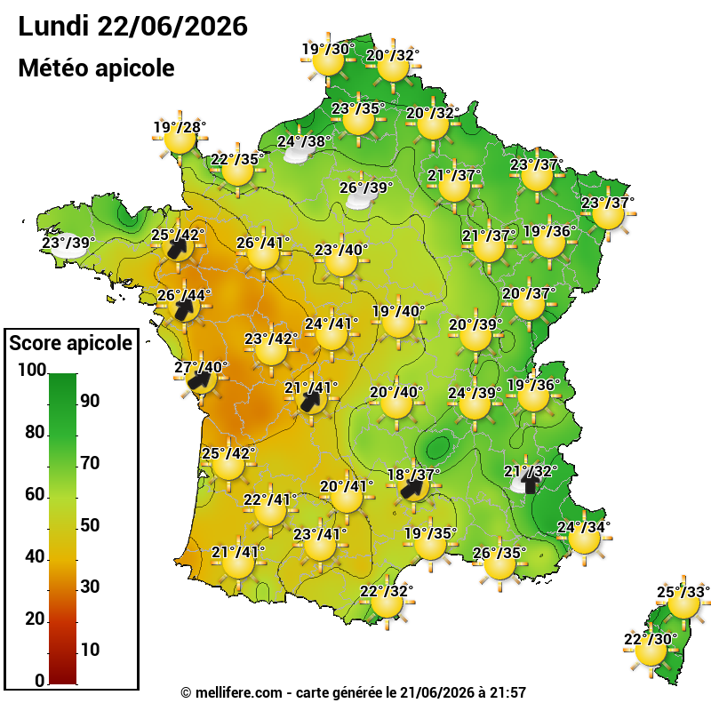 Carte des scores abeilles 22/06