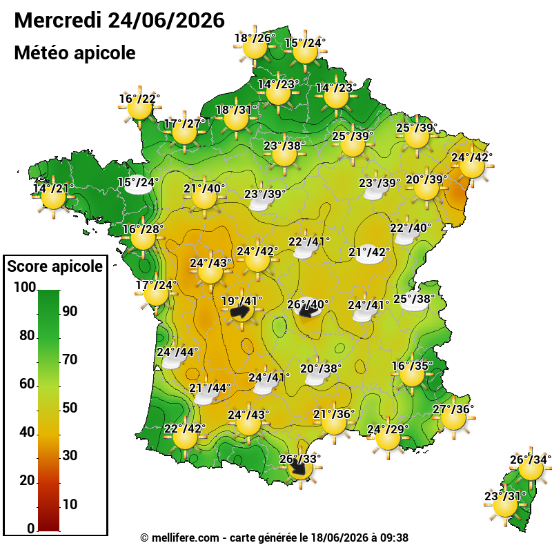Carte des scores abeilles 24/06