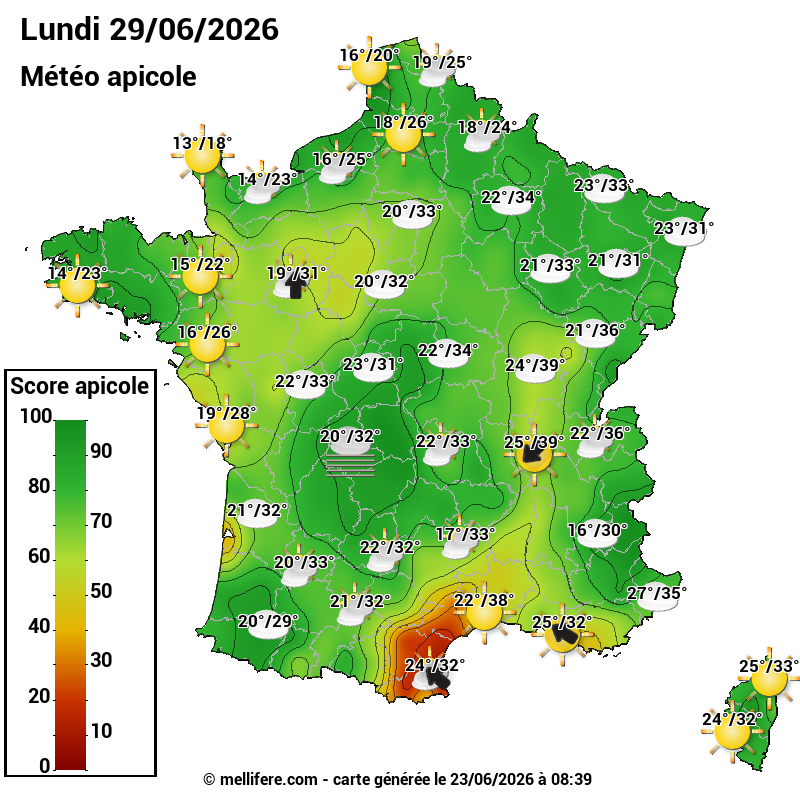 Carte des scores abeilles 29/06