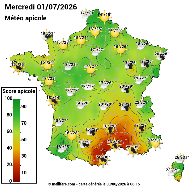 Carte des scores abeilles 01/07