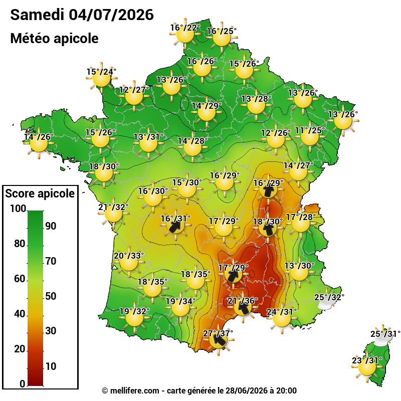 Carte des scores abeilles 04/07