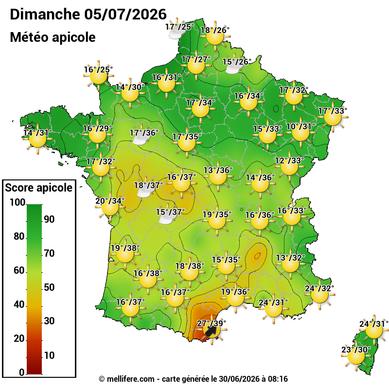 Carte des scores abeilles 05/07
