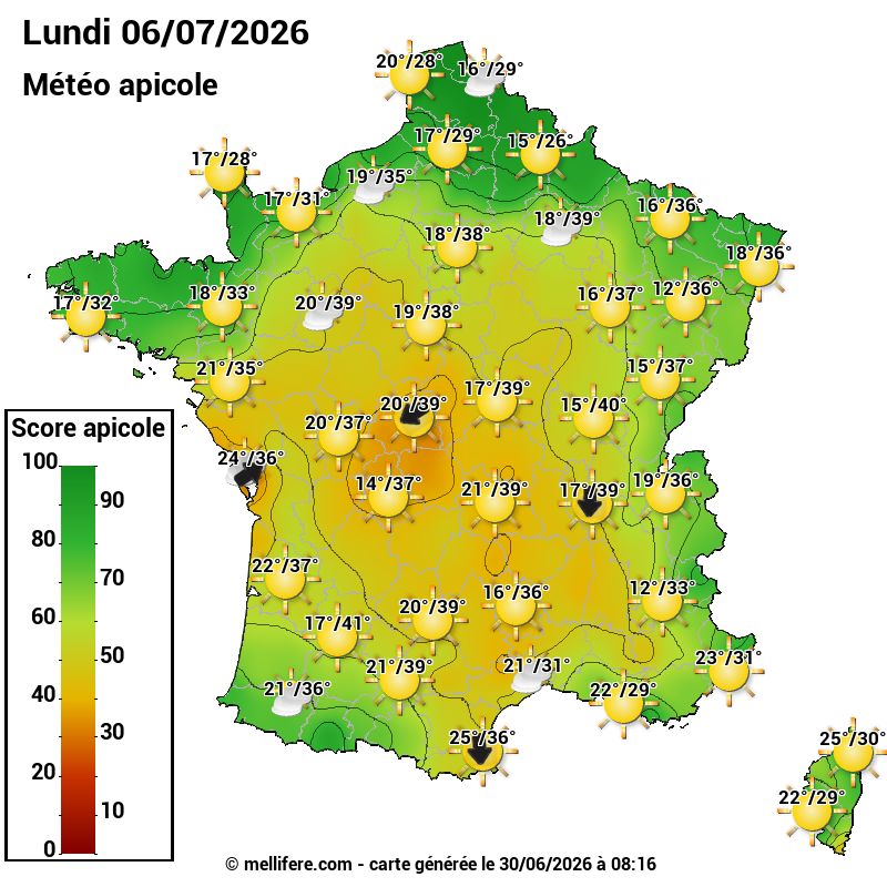 Carte des scores abeilles 06/07