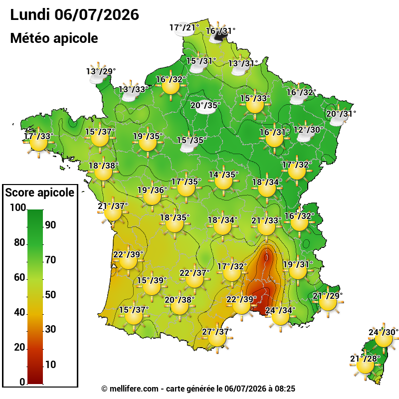 Carte des scores abeilles 06/07