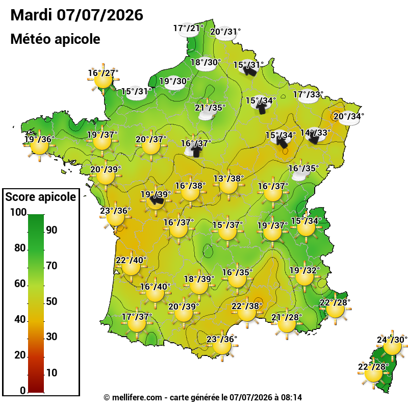 Carte des scores abeilles 07/07