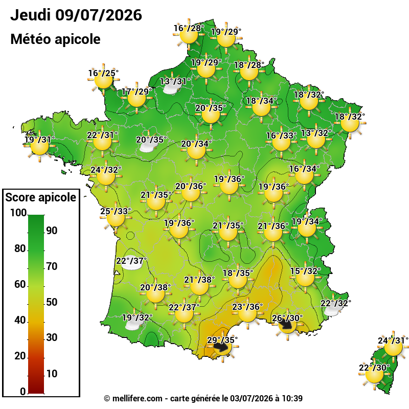 Carte des scores abeilles 09/07