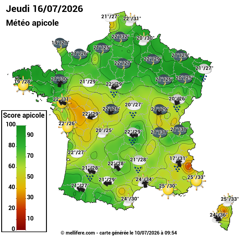 Carte des scores abeilles 16/07