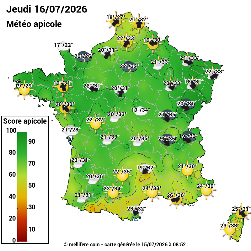 Carte des scores abeilles 16/07