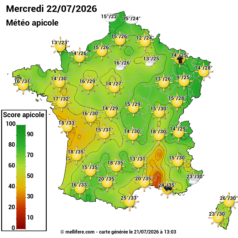 Carte des scores abeilles 22/07