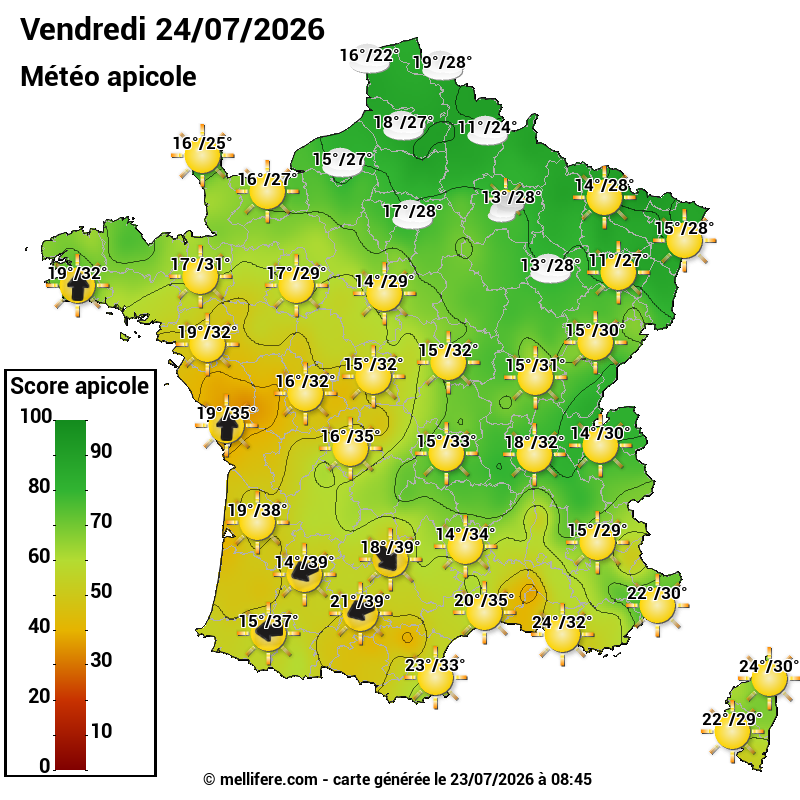 Carte des scores abeilles 24/07