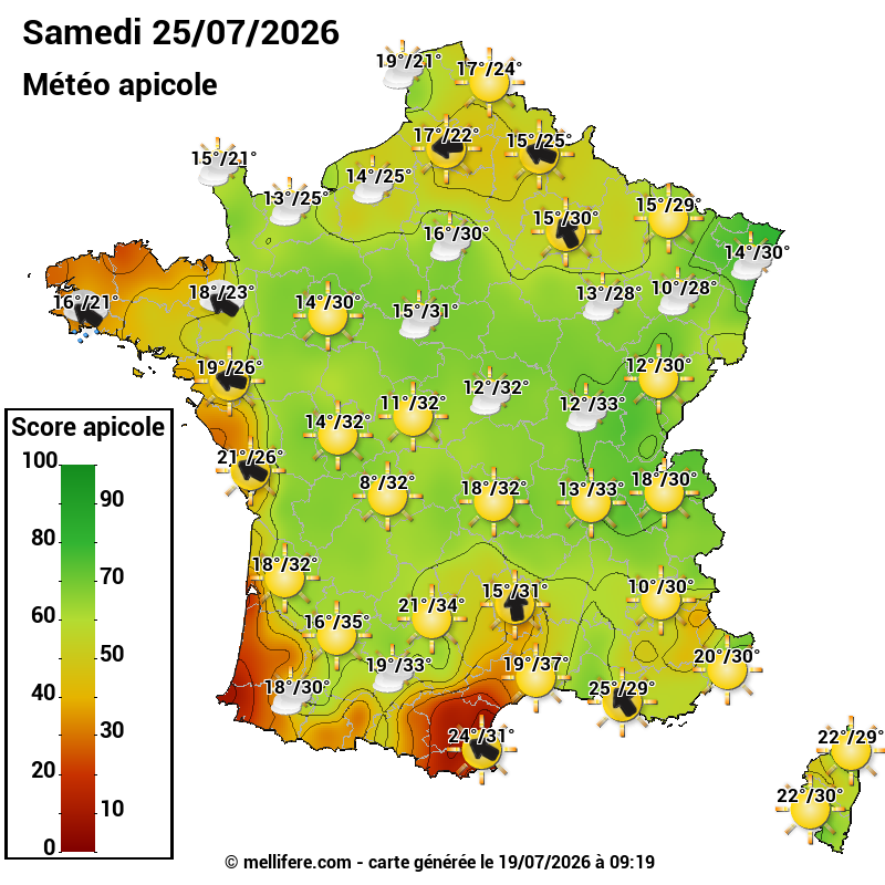 Carte des scores abeilles 25/07
