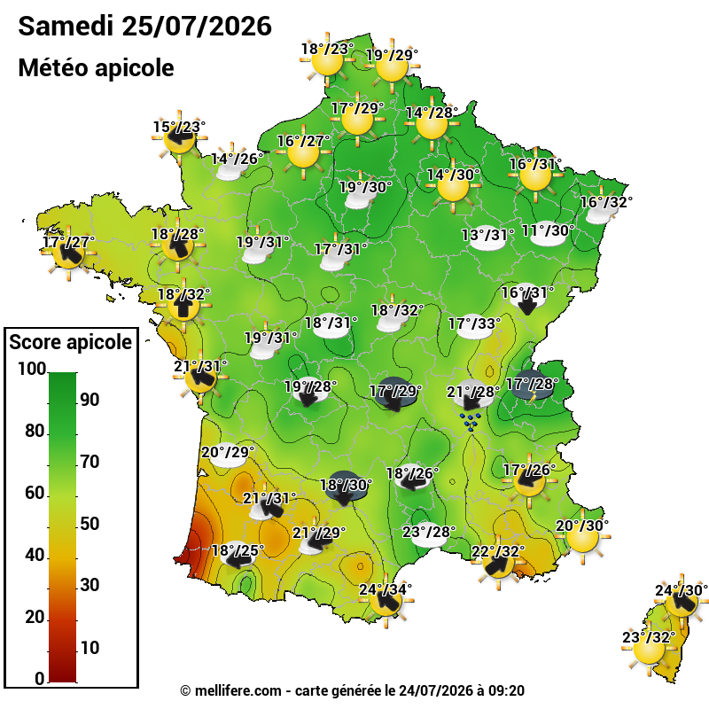 Carte des scores abeilles 25/07