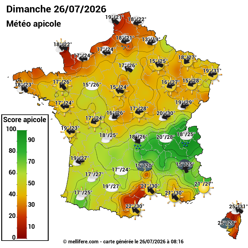 Carte des scores abeilles 26/07