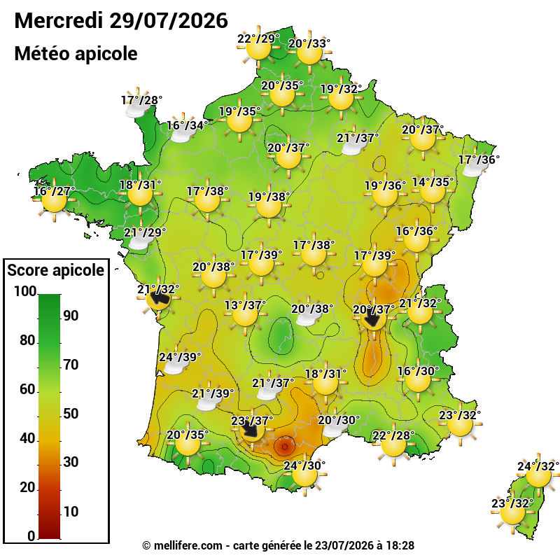 Carte des scores abeilles 29/07