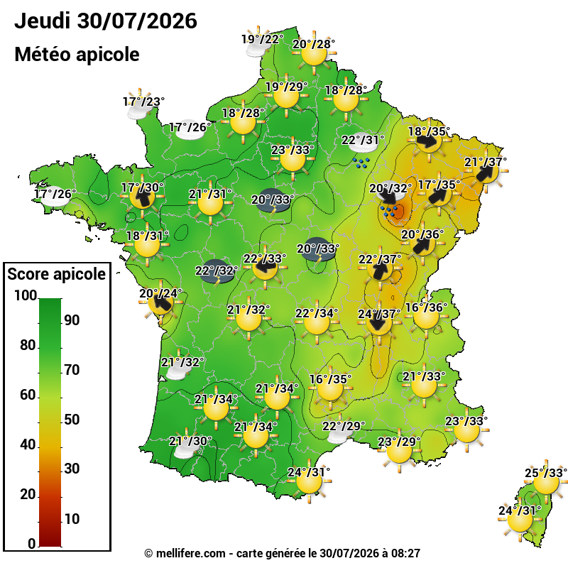 Carte des scores abeilles 30/07