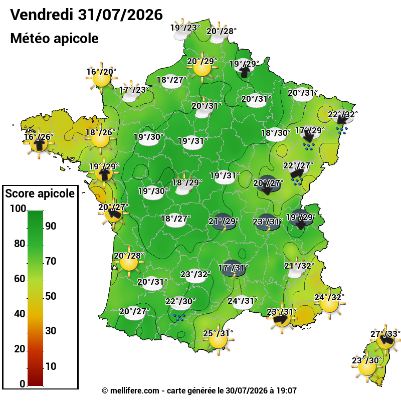 Carte des scores abeilles 31/07