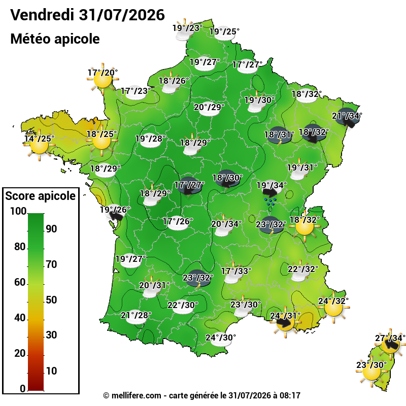Carte des scores abeilles 31/07