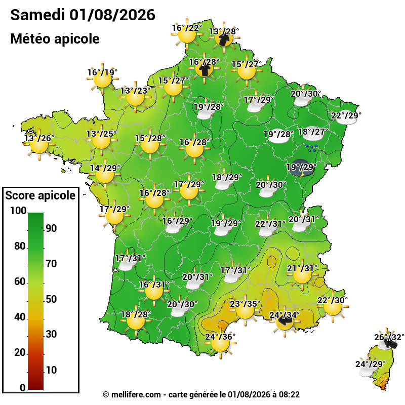 Carte des scores abeilles 01/08