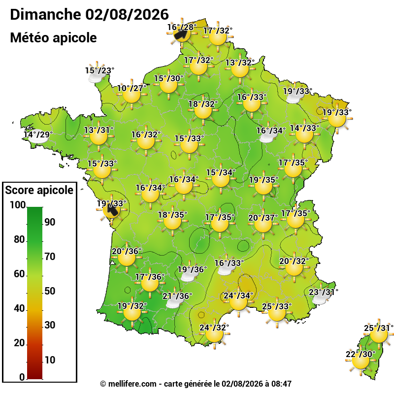 Carte des scores abeilles 02/08