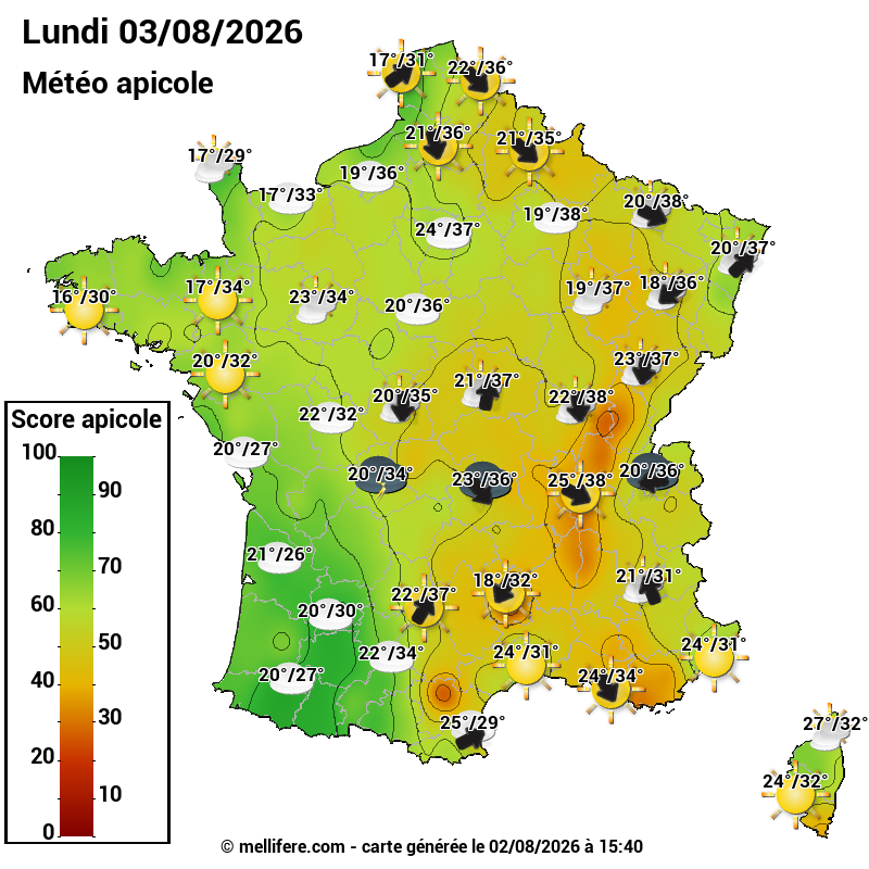 Carte des scores abeilles 03/08