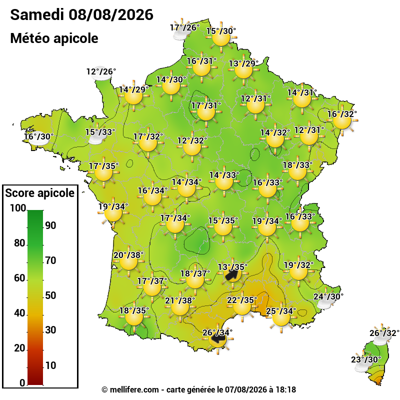 Carte des scores abeilles 08/08