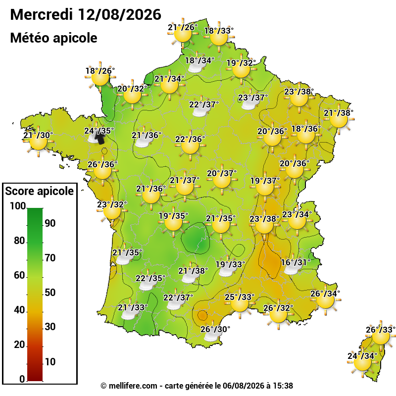 Carte des scores abeilles 12/08