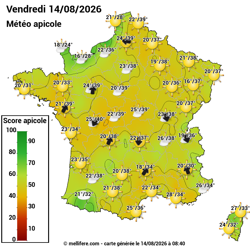 Carte des scores abeilles 14/08