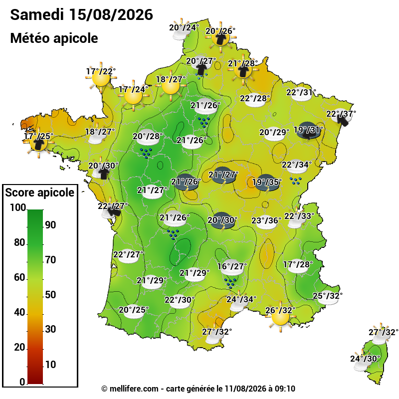 Carte des scores abeilles 15/08