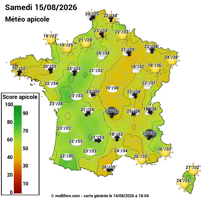 Carte des scores abeilles 15/08